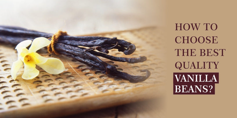 How to choose the best quality vanilla beans?